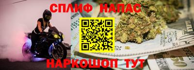 прущие грибы Ливны