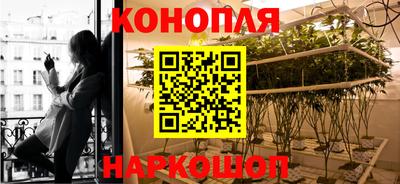 прущая мука Лесосибирск