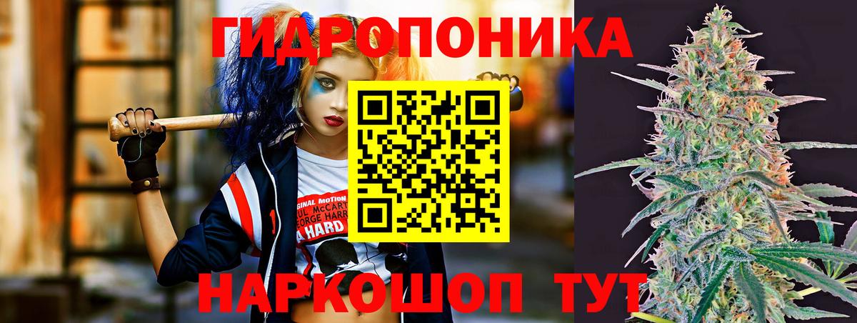 Конопля семена Чехов